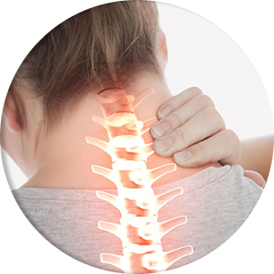 neck