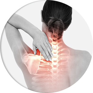 shoulder